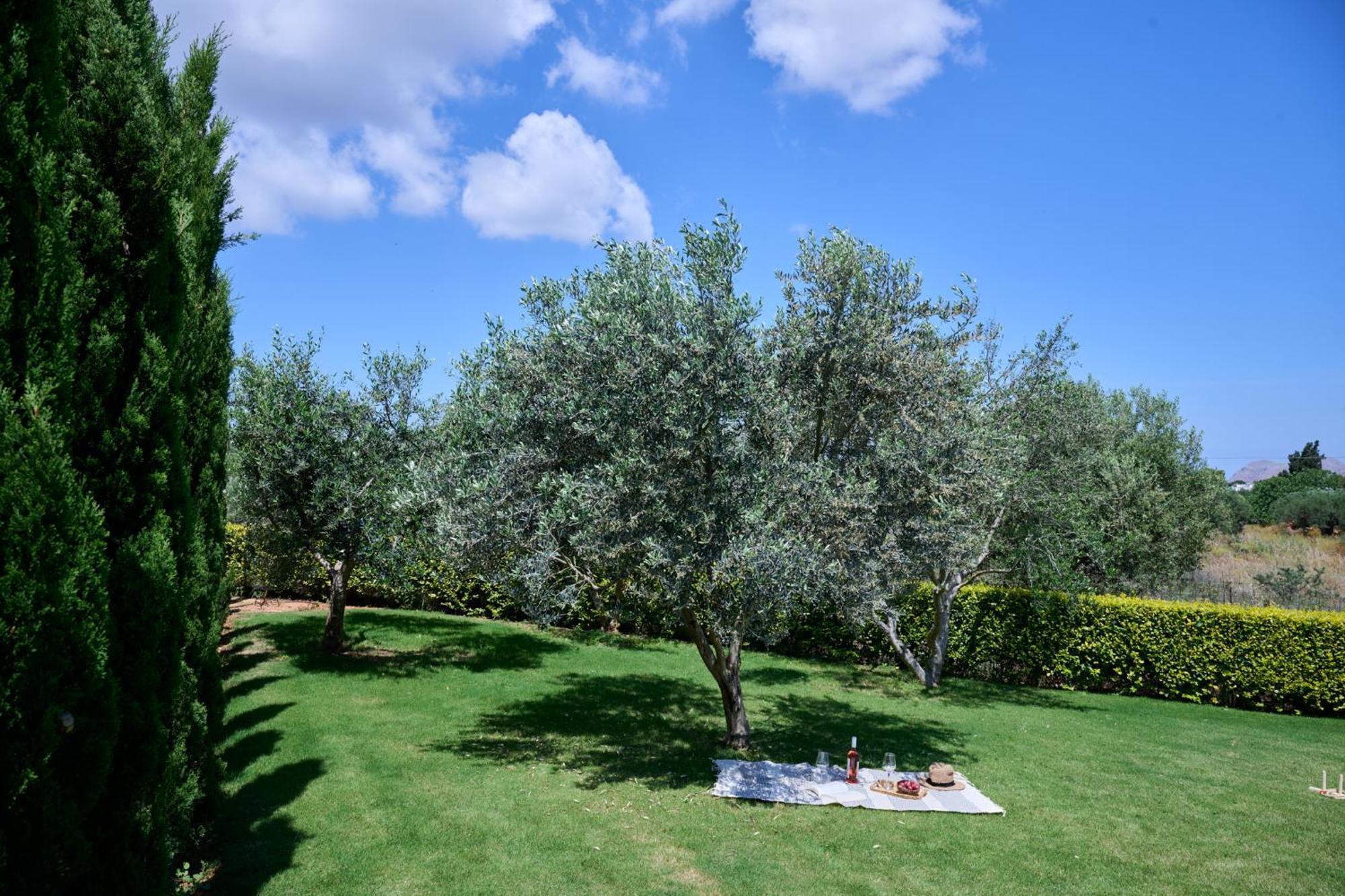 Kyamon Estate Luxury Villa Chania  Exteriér fotografie