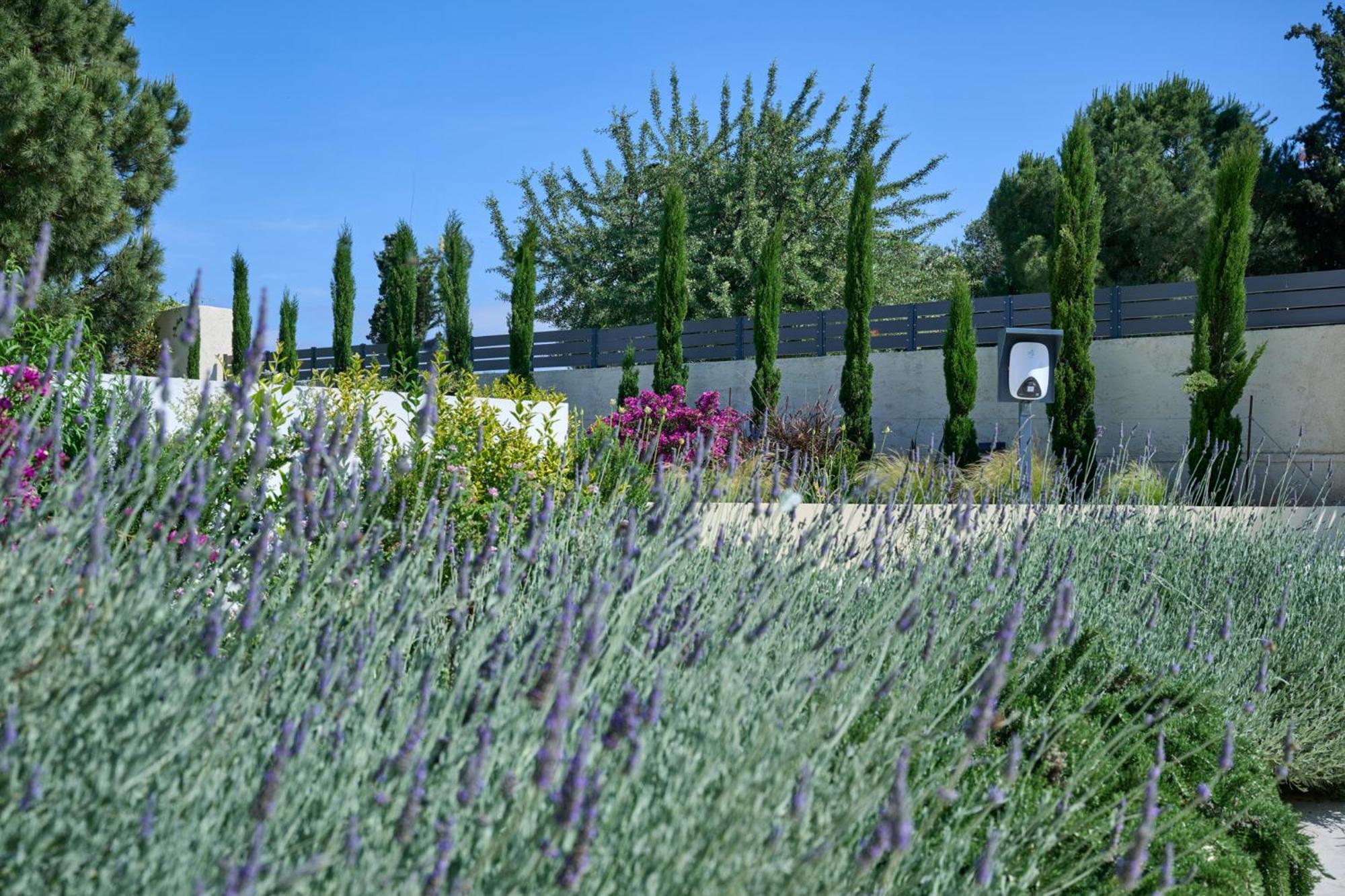Kyamon Estate Luxury Villa Chania  Exteriér fotografie